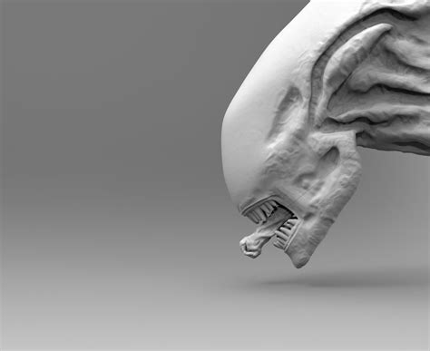 Alien Xenomorph Head Inner Mouth Inside Accessory 3d Model 3d Printable