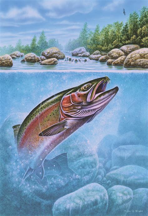 Rainbow Trout Split Level Painting By Jq Licensing Fine Art America