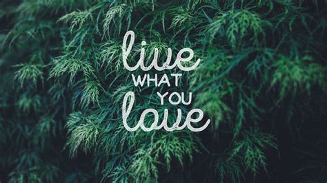 Wallpaper Quote Love Typography Branch Green Jungle Tree