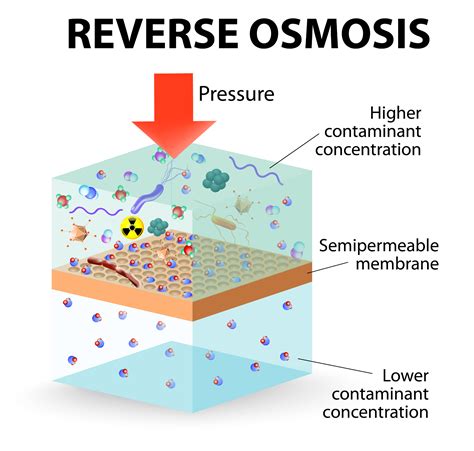 How Does Reverse Osmosis Work Advanced Water Solutions