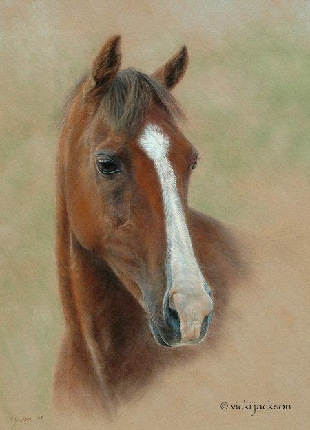 Vicki Jackson Pastel Pastel Artwork Horses Horse Painting