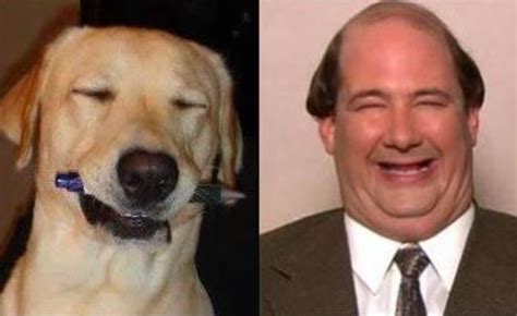 19 Celebrities And Their Dog Lookalikes This Is Hilarious