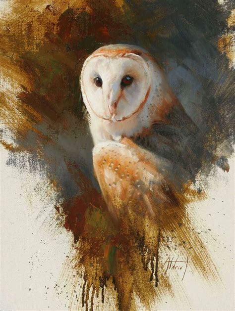 Fb Edward Aldrich Sorrel Sky Gallery Owls Drawing Bird Drawings