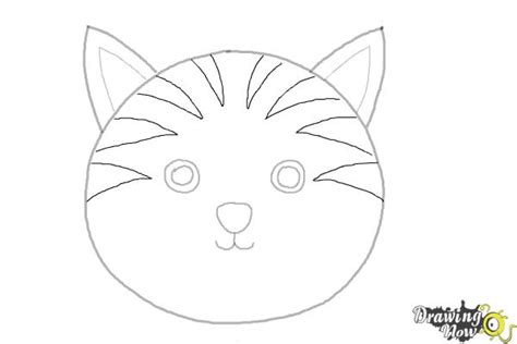 How To Draw A Cat Face Drawingnow