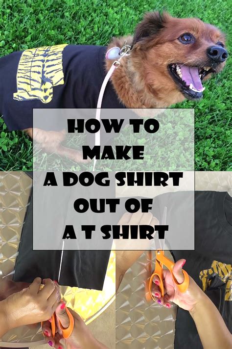 How To Make A Dog Shirt Out Of A T Shirt How To Do Easy