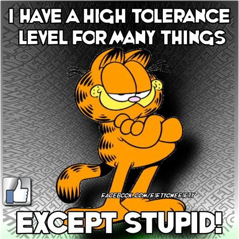 Garfield I Have A High Tolerance Level For Many Things Except Stupid