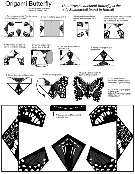 Origami Butterfly Template With Diy Instruction Free Printable