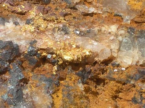 Gold Vein Natural Gold Gold Specimens Gold Mining