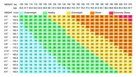 Bmi Chart For Adults Over 65 Tahseenkeely