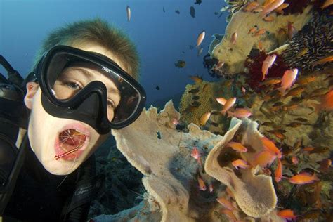 Recommended By Dentists Scuba Diver Opens His Mouth For Teeth Clean From A Shrimp Teeth