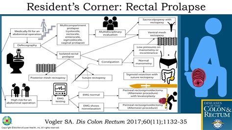 Rectal Prolapse Diseases Of The Colon And Rectum