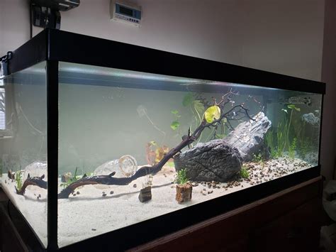 My First Larger Build What Do You Guys Think 30 Gallon Breeder Tank