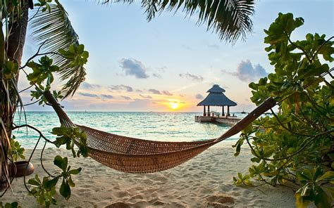 Hd Wallpaper Maldives Tropical Sunsets Sea Sand Beach Holiday Palm