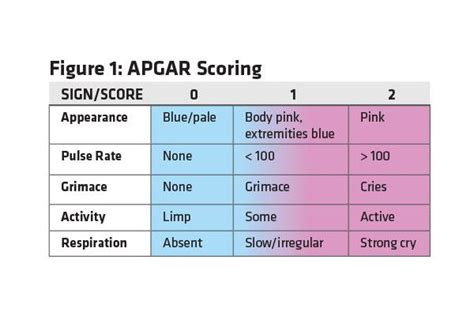 What Is The Apgar Scoring System Apgar Score Pharmaco