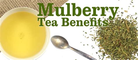 Mulberry Tea Benefits Kent Tea And Coffee Co