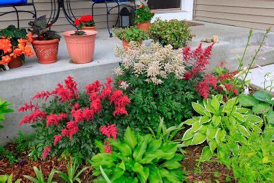 Trees are a serious business for the wolcyn family of cambridge, mn. 1000+ images about mn shade gardens on Pinterest | Gardens ...