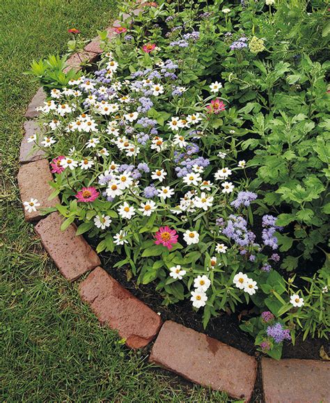 Use salvaged wood to edge your garden. How to install brick edging in your garden | Garden Gate