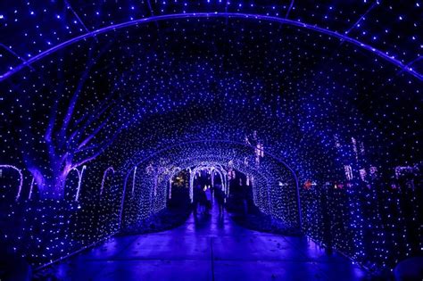 Newfields Winterlights 2019 How To Get Tickets And What To Know