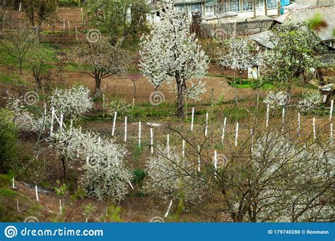 Beautiful Spring Landscape In Republic Of Moldova Stock Photo Image