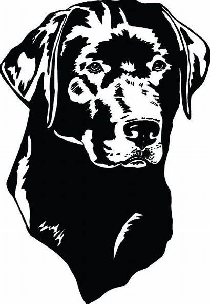 Labrador Lab Clip Clipart Head Dog Border