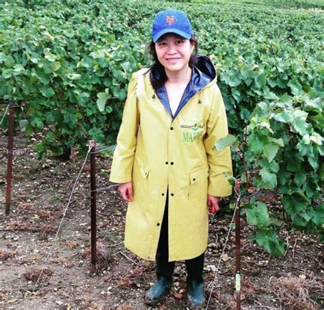 Author Ann Mah On Lost Vintage Grape Picking And Climate Change