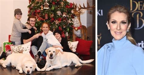After more than 15 years battling throat cancer, singer céline dion's husband and music manager in what would be their final magazine photo shoot together last year, dion, 47, shared her fears with. Celine Dion shares adorable Christmas photo with kids nearly three years after husband's death ...