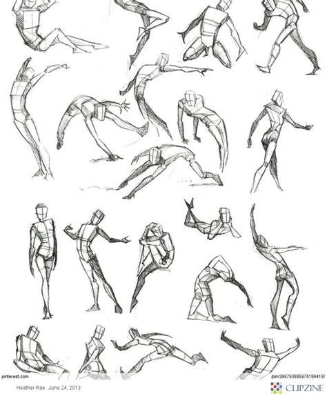 Parts Of The Body Drawing At Getdrawings Free Download