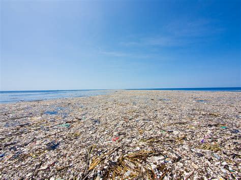 Ambiente Un Oceano Di Plastica Invade Il Pacifico Teleambiente Tv