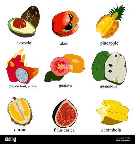 Algunos Tipos De Frutas Ex Ticas De Diferentes Pa Ses Fotograf A De