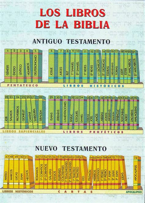 Los Libros De La Biblia En Orden