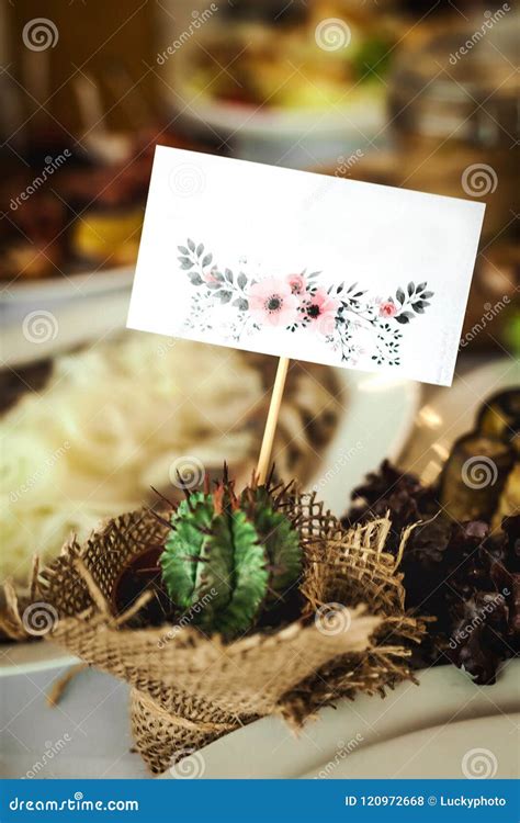Cactus On A Festive Table Stock Photo Image Of Cactus 120972668