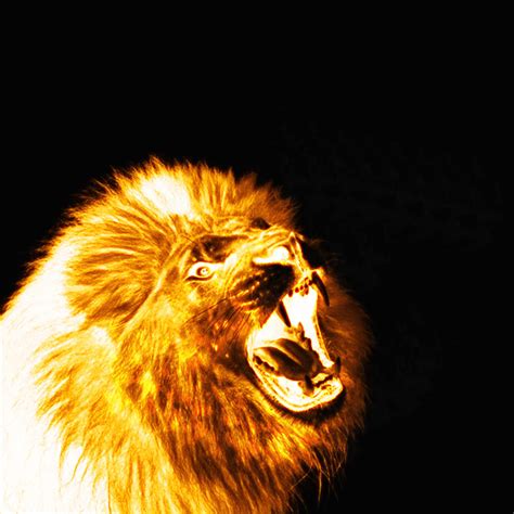 Roaring Lion On Fire By Saify02 On Deviantart