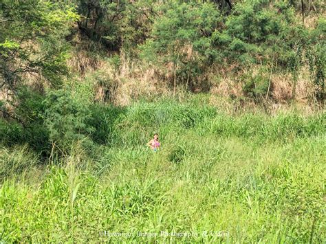 Brian E. Powers: Hele On To Kauai