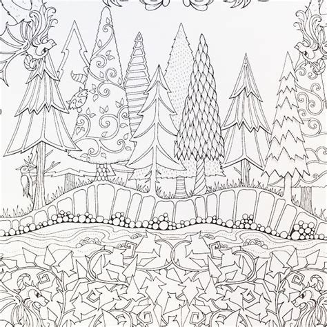 Print forest coloring pages for an adventure in the rainforest. Pin on Artist Johanna Basford Coloring