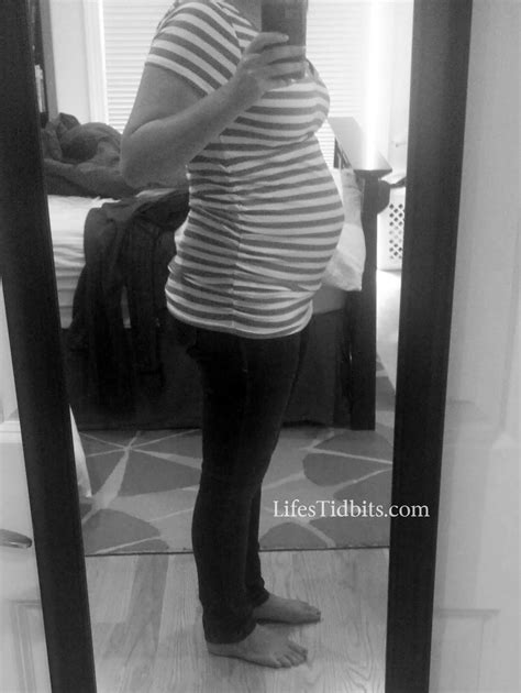 5 Months Pregnant Belly Telegraph