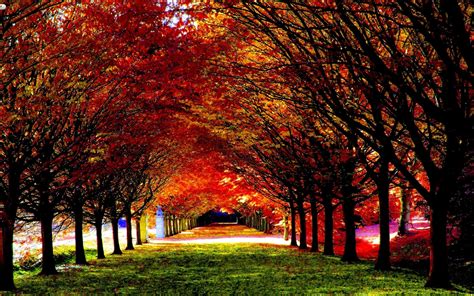 Beautiful Autumn Wallpapers 67 Pictures