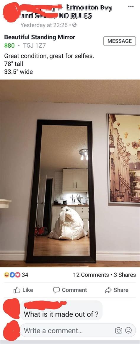 10 Glorious Times People Showed Themselves Trying To Sell Mirrors Online Mirror Mirrors For