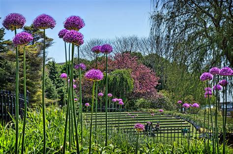 10 Enchanting Toronto Gardens Where You Can See And Smell The Flowers