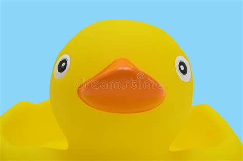 Rubber Ducks Editorial Photography Image Of Quantity Foul 224667