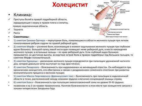 Загиб желчного пузыря какая диета Загиб Желчного Пузыря Лечение У Взрослых Диета — Похудение Диета Загиб Желчного Пузыря Лечение У Взрослых Диета — Похудение Диета Загиб желчного пузыря какая диета