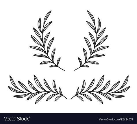 Olive Branch Tattoo Olive Branch Wreath Olive Branches Olive Tattoo Tree Branches Laurel