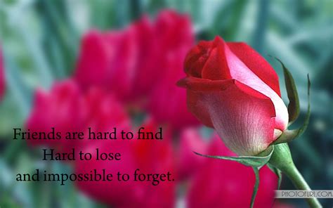 Best friend quotes with flowers. Friendship Wallpapers With Quotes | Free Wallpapers