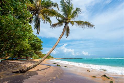 Cele Mai Bune Plaje Din Sri Lanka