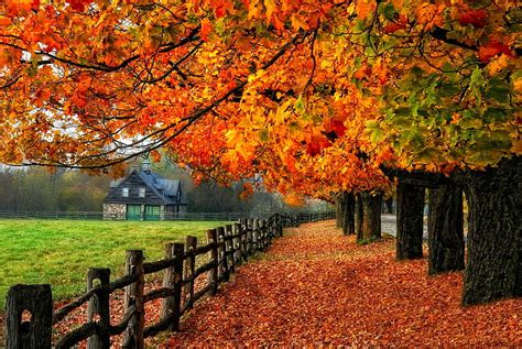 Hd Wallpaper Fall Foliage Usa Autumn Leaves America Trees Nature