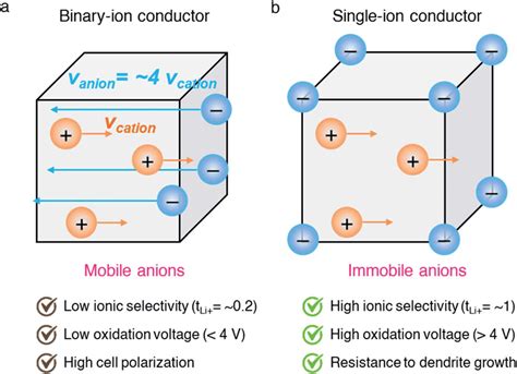 Binary Ion Conductor And Single Ion Conductor Schematic Illustration