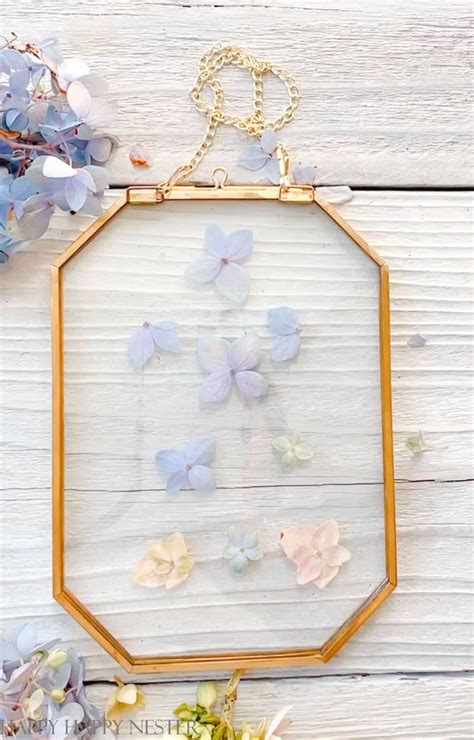 Framing Pressed Flowers Between Glass Happy Happy Nester