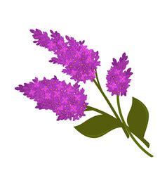 Download Lilac Royalty Free Vector Image - VectorStock