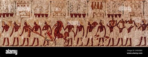 funeral procession and delivery of funerary equipment tomb of userhat tombs of the nobles