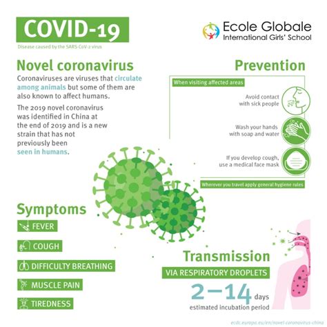 Important Information About The Novel Coronavirus