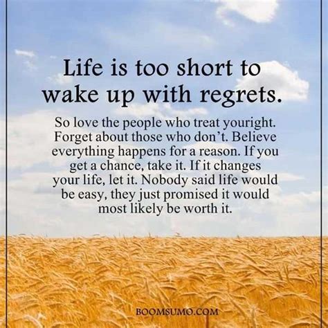 Inspirational Life Quotes Life Is Too Short Wake Up With Regrets